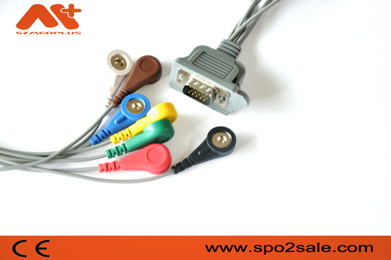 7 Dms 300 3a AHA dms-20200213 Holter μολύβδου για το υπομονετικό όργανο ελέγχου