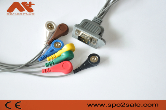 7 Dms 300 3a AHA dms-20200213 Holter μολύβδου για το υπομονετικό όργανο ελέγχου